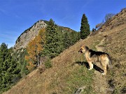 18 Forcolino di Torcola (1856 m) in vista